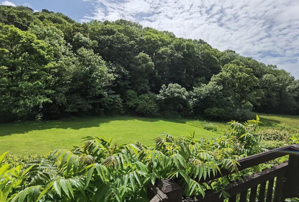 Kallowen Cottage At Crackington Haven, Near Bude And Boscastle, Cornwall Exterior photo